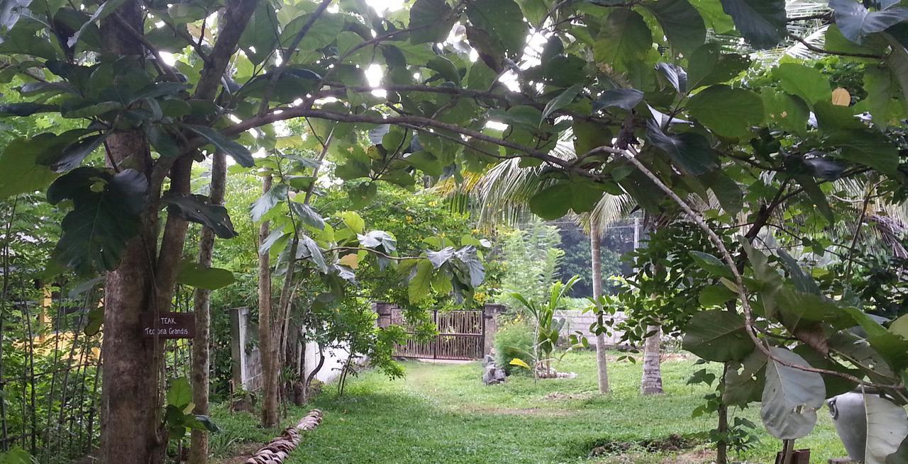 Villa Cinnamon Hills Galle Exterior foto